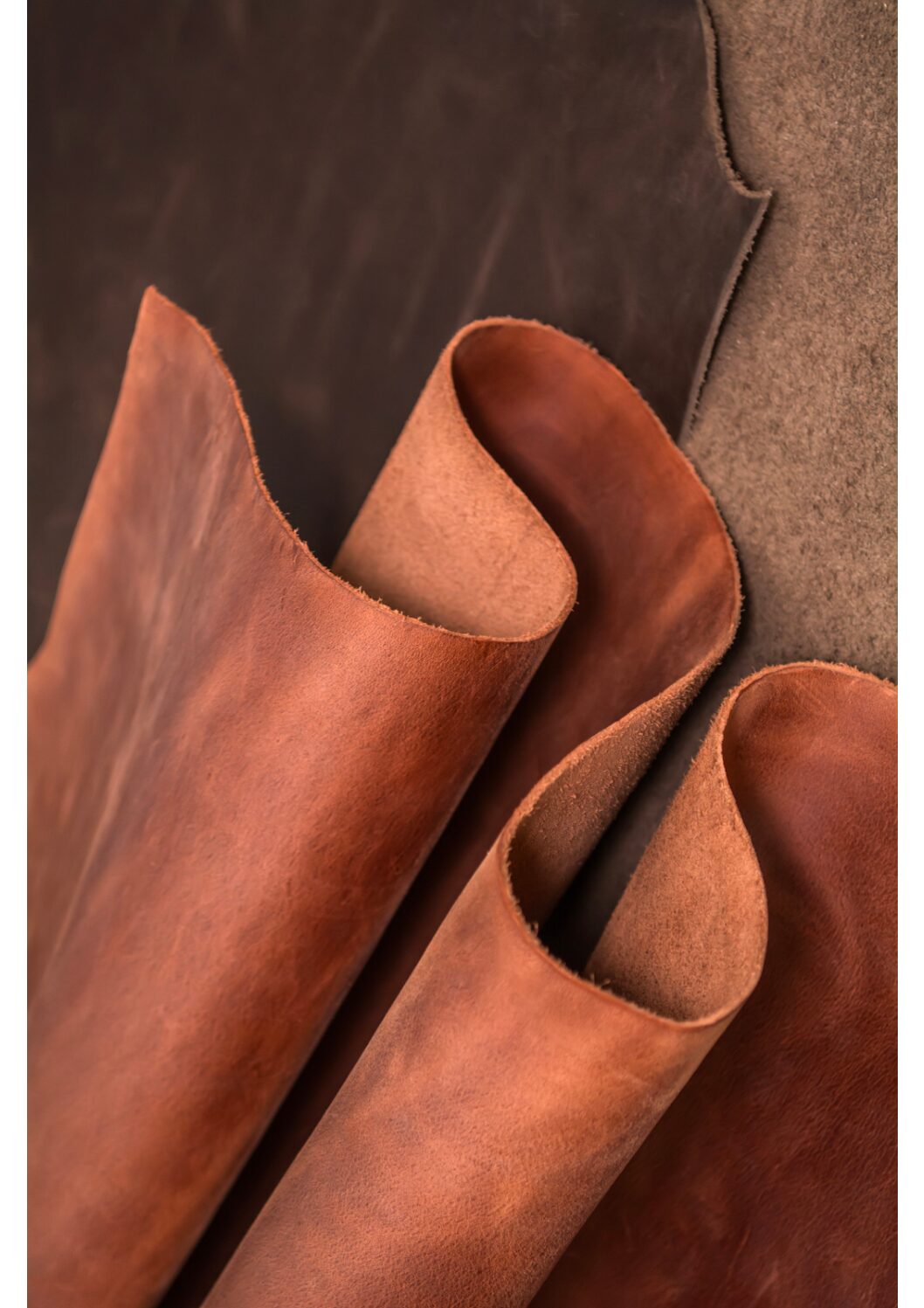 Sector Growth for Lab-Grown Leather